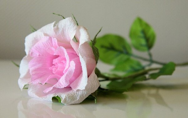 Cách xếp hoa hồng bằng giấy nhún đơn giản