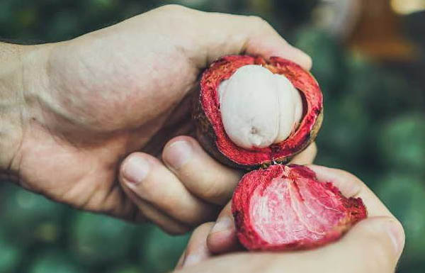 Cách ăn măng cụt an toàn cho mẹ bầu