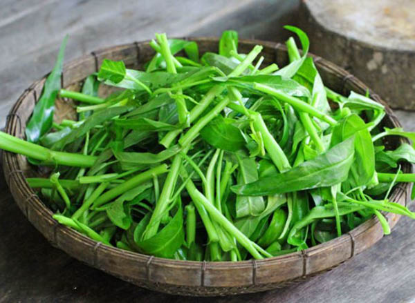 Bà bầu ăn rau muống được không?