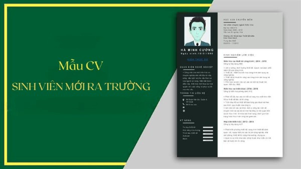 Mẫu CV ấn tượng cho sinh viên mới ra trường ấn tượng, độc đáo